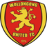  卧龙岗联logo